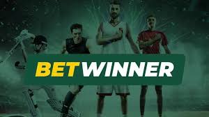 Explore BetWinner Sportsbook A Comprehensive Guide