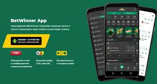 Exploring Betwinner A Comprehensive Guide to Online Betting